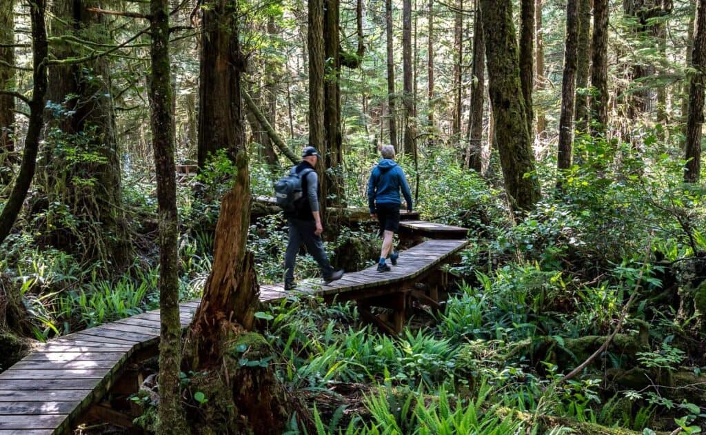 10 BEST Tofino Hikes | Hike Bike Travel Quick hiking on the Rainforest trails thanks to beautifully designed boardwalks