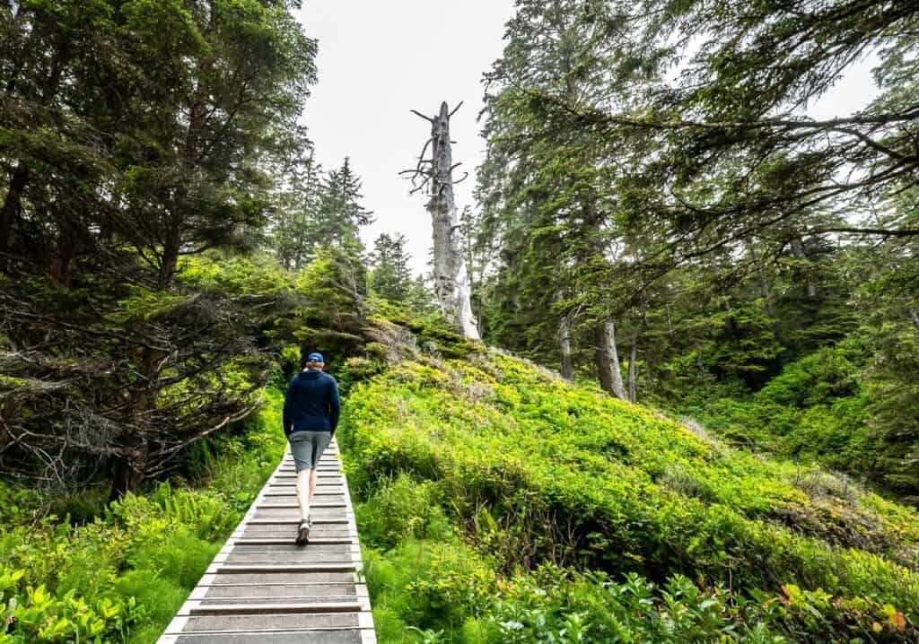 10 BEST Tofino Hikes | Hike Bike Travel The steepest part of the hike to South Beach
