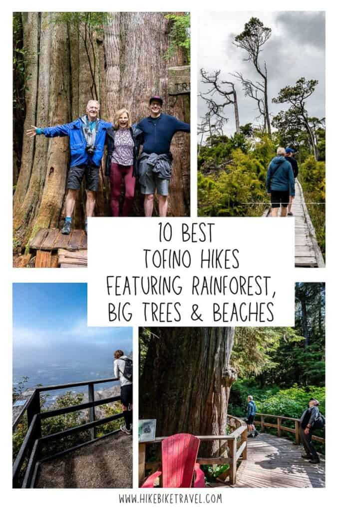 10 BEST Tofino Hikes | Hike Bike Travel 10 best hikes in Tofino featuring rainforest, big trees & beaches