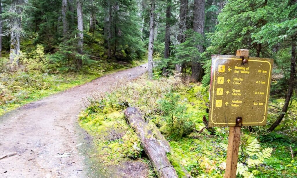 The miles on the Great Glacier Trail were exaggerated but at least there were plenty of signs