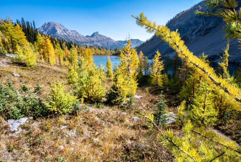 The beauty of Diana Lake in fall - a great day hike from Golden, BC