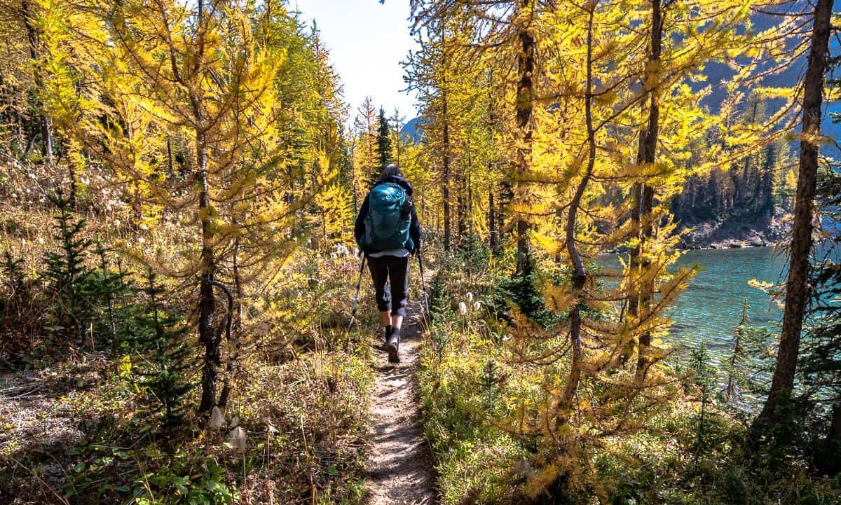 The beautiful hike to Diana Lake near Radium in larch season