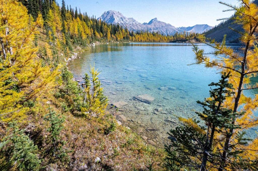 One side of Diana Lake is thick with larches