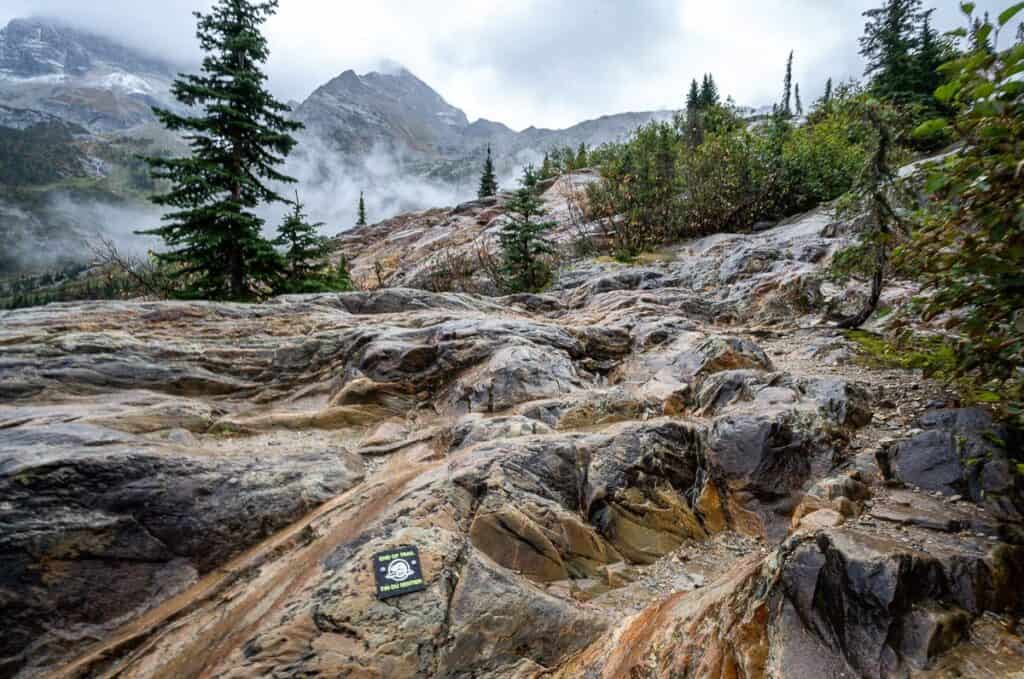 Parks Canada calls this foundation around the glacier the end point of the Great Glacier Road 