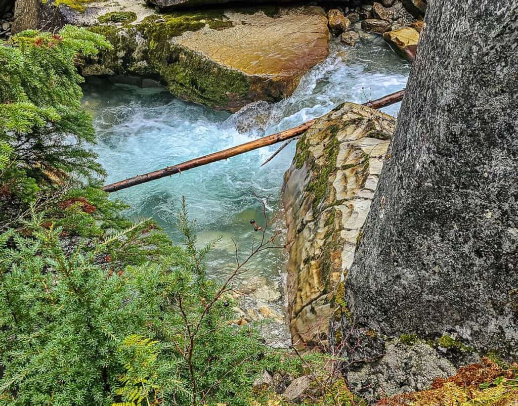 The illecillewaet river is a convincing color of blue