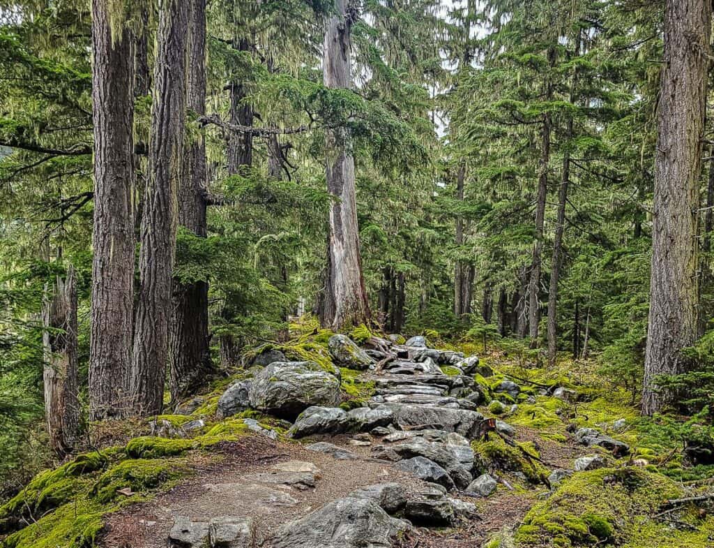 Hiking this section of the Great Glacier Trail