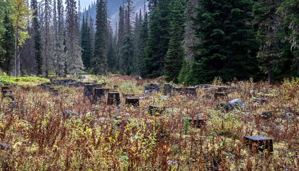 Glacier Monument Ruins