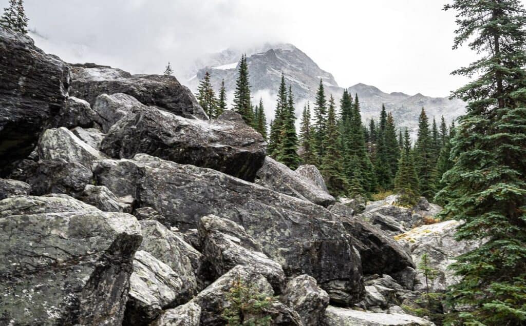Listen to Pika's squeak as she passes this mass of rocks 