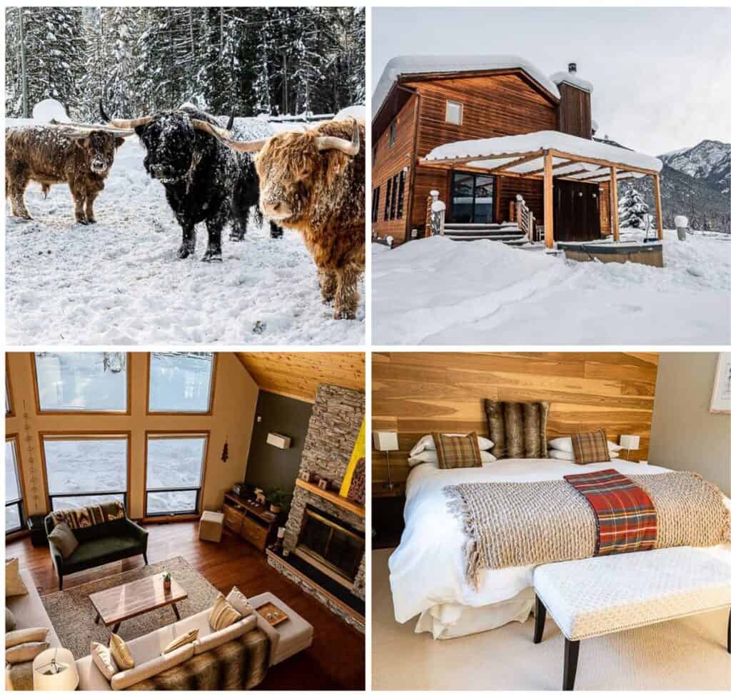 Home Lodge - Luxury bed and breakfast in Golden