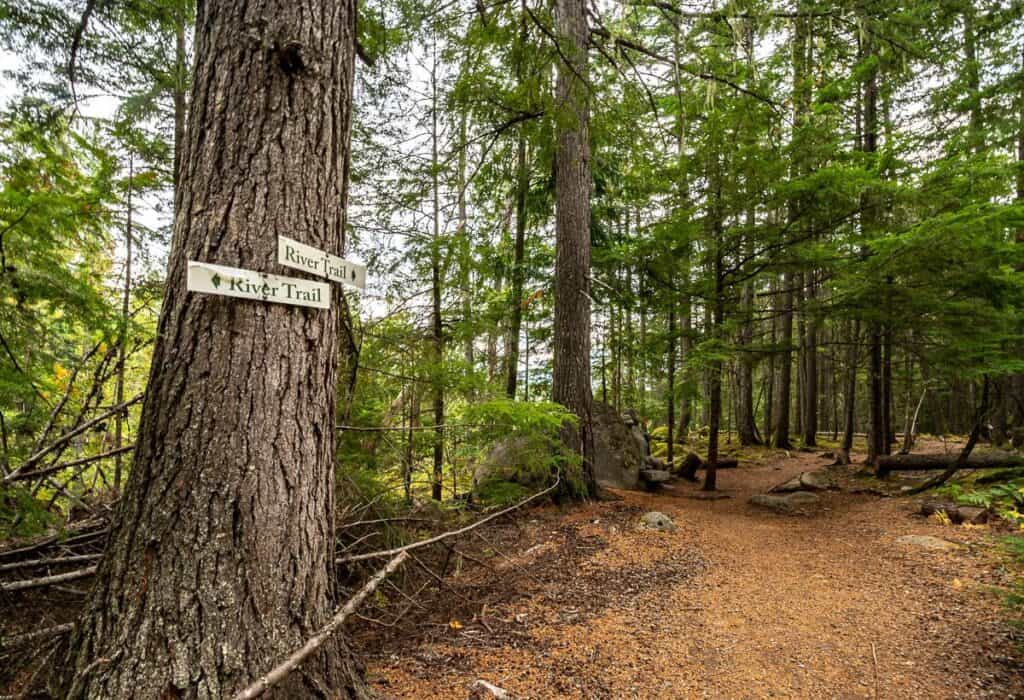 J'ai trouvé des panneaux aux bons endroits sur le sentier de la rivière Kaslo