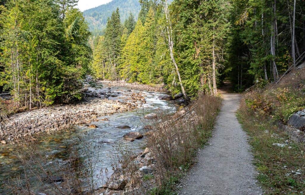 Nous atteignons la fin du Kaslo River Trail, du côté nord de la rivière.