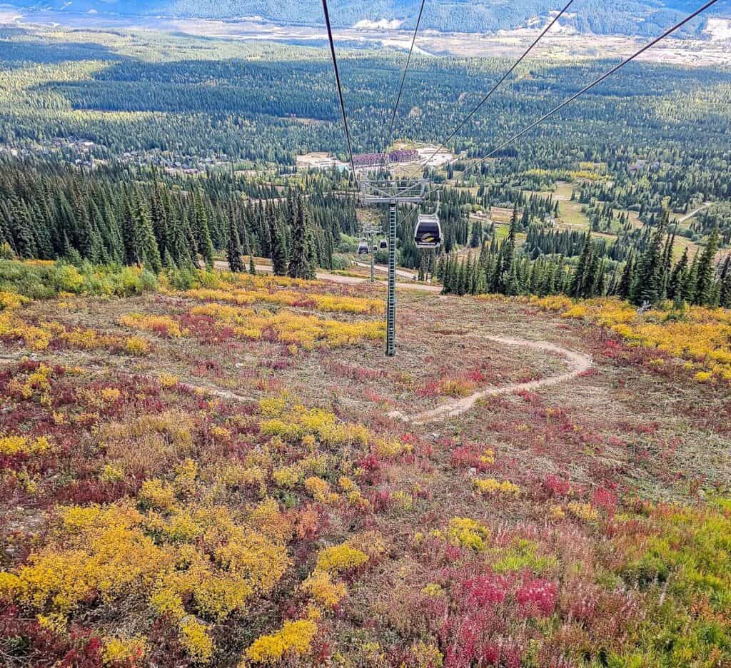 Some of the best fall hikes in Golden are off the top of Kicking Horse Mountain Resort