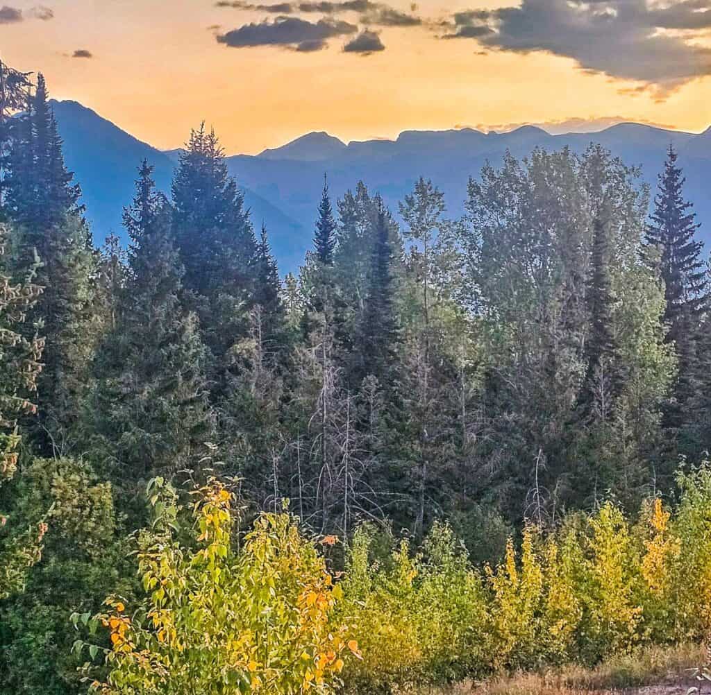 View from our Whispering Pines, Lush Mountain Accommodation unit