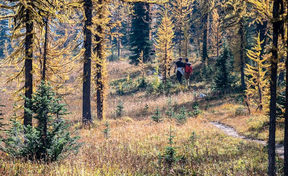 Hikers heading back to the Monica Meadows trailhead
