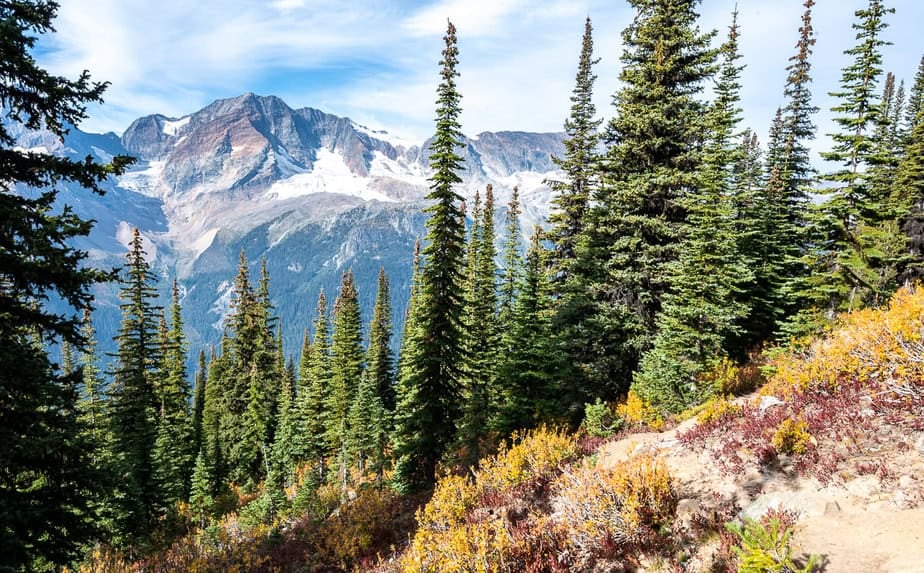 Incredible views on the Monica Meadows trail near the end of the switchback about 30 - 40 minutes into the hike