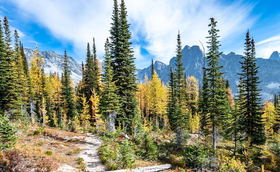 The beauty of late a late September hike on the Monica Meadows trail