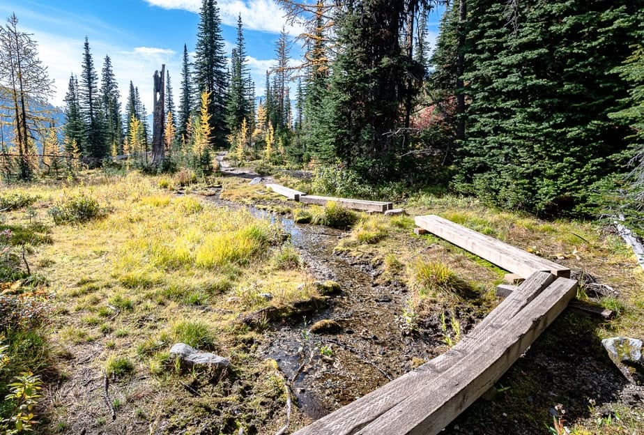 Stick to the wooden beams when walking through the fragile areas in Monica Meadows