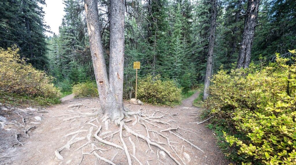Go to the left at the signed intersection to continue Lake Sherbruck